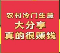 以下是一些适用且具有高利润率的创
